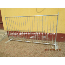 Hot DIP Galvanized Pool Fencing